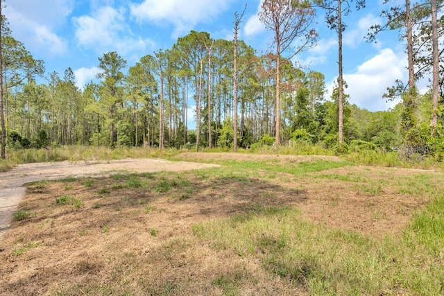 4410 Vicky St, Hastings, FL 32145 - view of tree filled area