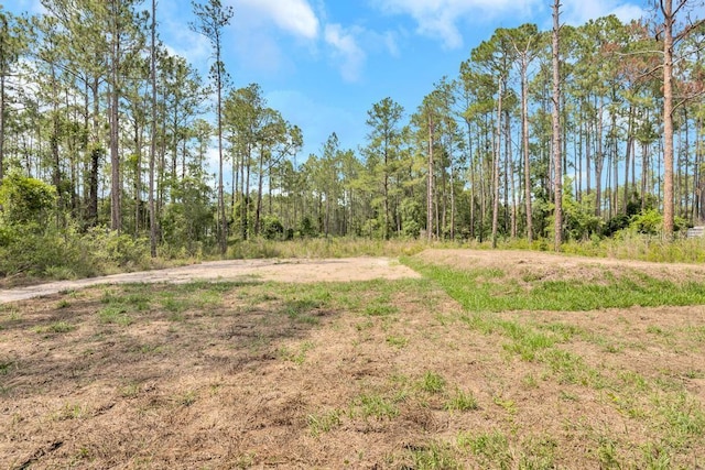 4410 Vicky St, Hastings, FL 32145 - view of local wilderness