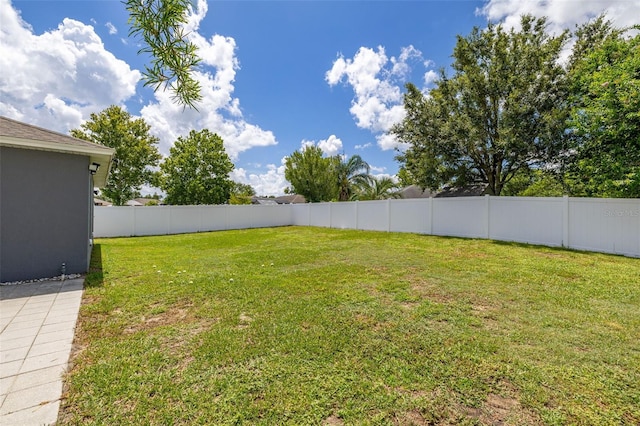 138 Hidden Pointe Ln, Groveland, FL 34736 - view of yard