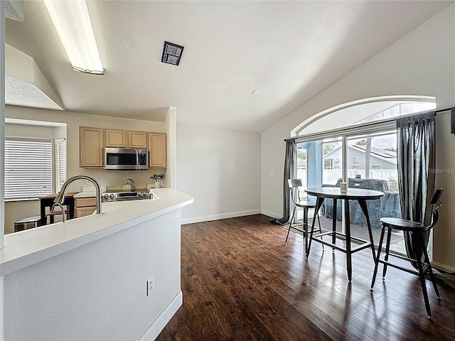238 Sunridge Woods Blvd, Davenport, FL 33837 - kitchen with stainless steel microwave, light brown cabinetry, vaulted ceiling, dark wood-style flooring, and light countertops