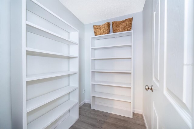 12104 Shallot St, Orlando, FL 32837 - walk in closet with dark wood-style floors