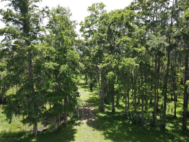 2700 Cherokee Rd, Saint Cloud, FL 34772 - photo 5