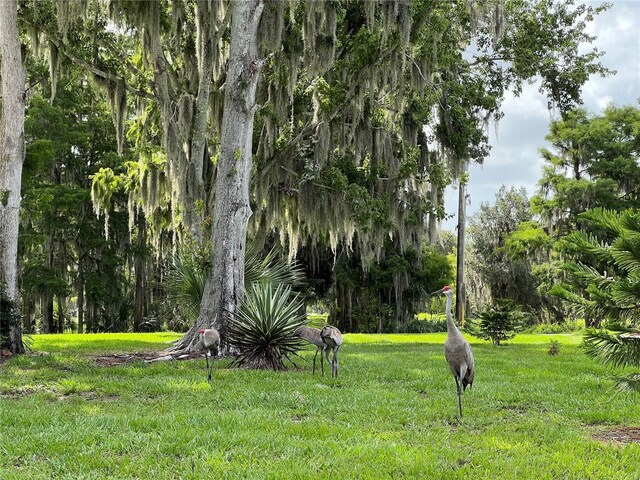 2700 Cherokee Rd, Saint Cloud, FL 34772 - photo 54