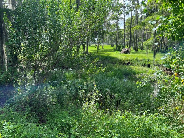 2700 Cherokee Rd, Saint Cloud, FL 34772 - photo 65