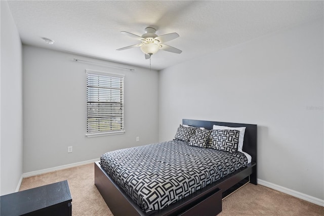 4502 Banyan Tree Pl, Riverview, FL 33578 - photo 13