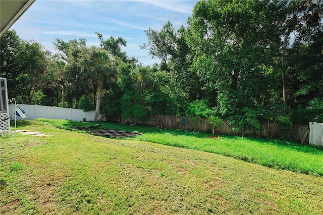 4428 Winding River Dr, Valrico, FL 33596 - view of fenced backyard