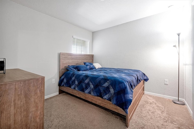 328 Lily Ln, Davenport, FL 33837 - bedroom with carpet floors