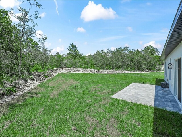 41 Orchid Ct, Kissimmee, FL 34759 - photo 41