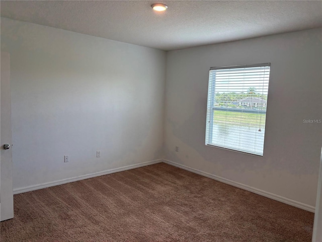 359 Arbor Lakes Dr, Davenport, FL 33896 - unfurnished room with carpet flooring and a textured ceiling
