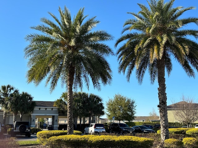 359 Arbor Lakes Dr, Davenport, FL 33896 - view of yard