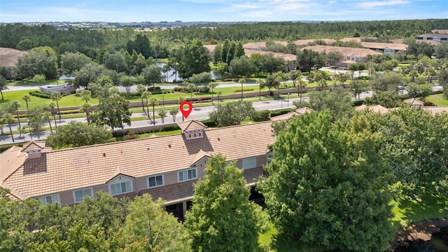 8401 Riverdale Ln Unit 8401, Davenport, FL 33896 - drone / aerial view of a large body of water