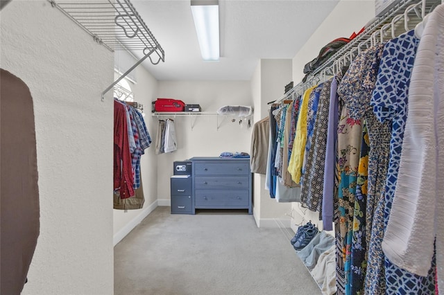 8401 Riverdale Ln Unit 8401, Davenport, FL 33896 - walk in closet featuring carpet
