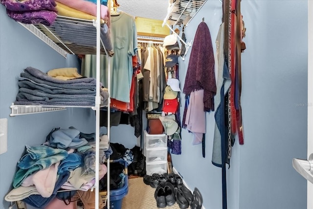 3214 Herons Point Cir, Kissimmee, FL 34741 - view of walk in closet