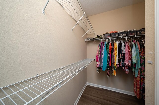 1703 Leatherback Ln, Saint Cloud, FL 34771 - photo 16