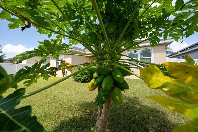 1703 Leatherback Ln, Saint Cloud, FL 34771 - photo 24