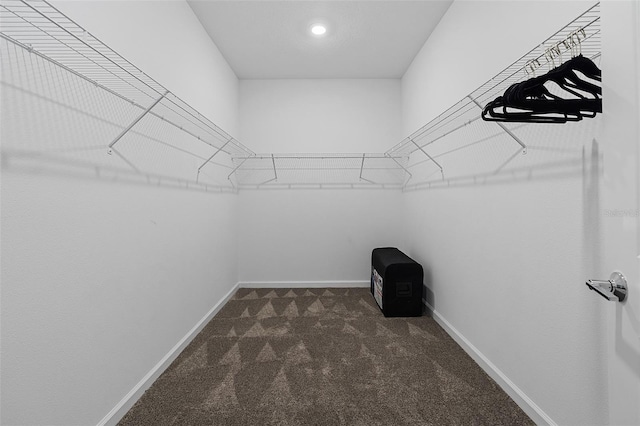 2759 Slash Way, Saint Cloud, FL 34771 - spacious closet with dark colored carpet