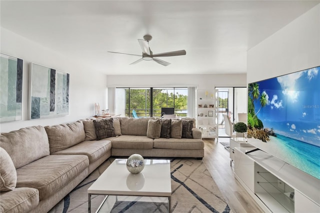 4570 Tower Pine Rd Ge, Unit Ge, Orlando, FL 32839 - living area featuring plenty of natural light, ceiling fan, and light wood-type flooring