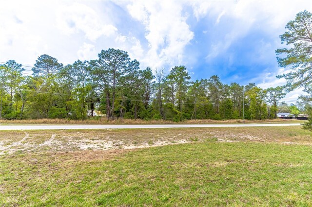 13 Oak Trail Pl, Ocala, FL 34472 - photo 31