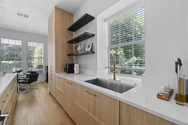 933 Jasmine St, Celebration, FL 34747 - kitchen featuring modern cabinets, light brown cabinetry, light wood-style floors, and light countertops