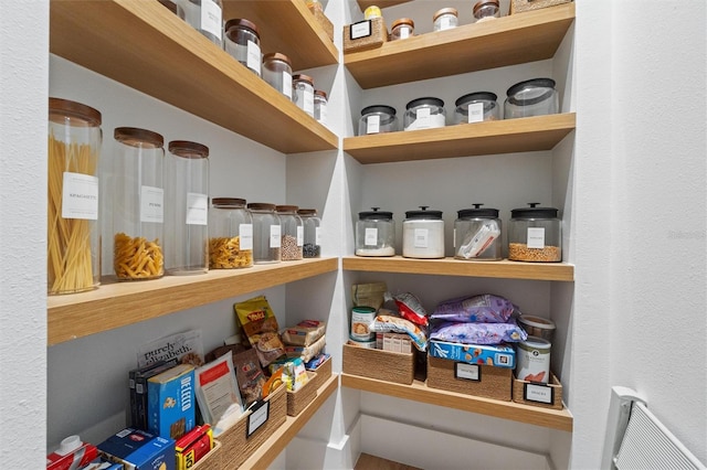 933 Jasmine St, Celebration, FL 34747 - view of storage area