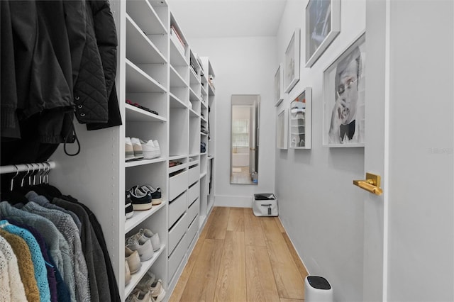 933 Jasmine St, Celebration, FL 34747 - walk in closet with light wood-style flooring
