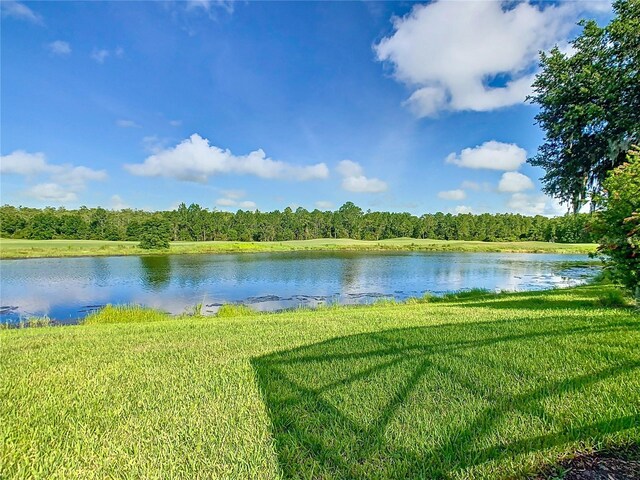 418 Treviso Dr, Kissimmee, FL 34759 - photo 56
