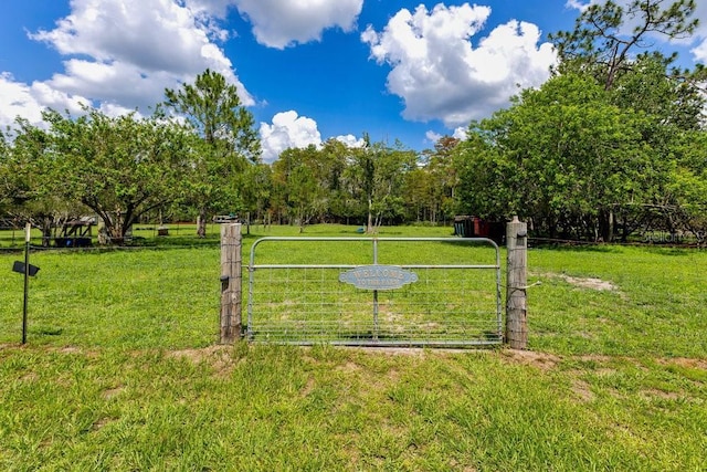 4361 Albritton Rd, Saint Cloud, FL 34772 - view of green lawn with a gate