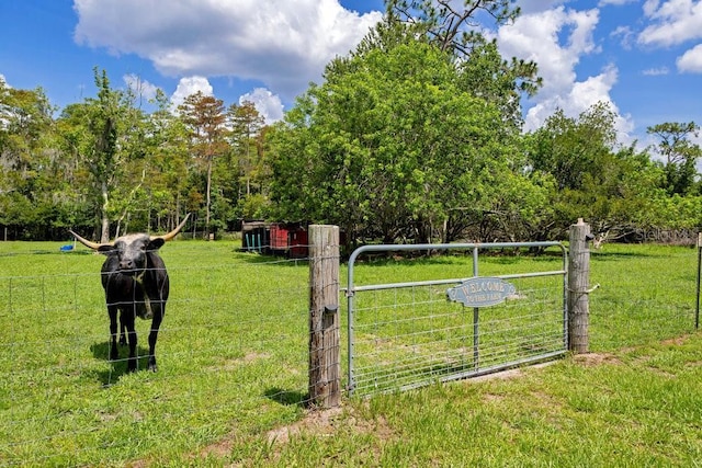4361 Albritton Rd, Saint Cloud, FL 34772 - view of yard with a gate