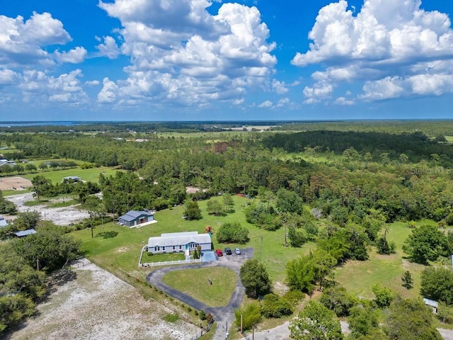 4361 Albritton Rd, Saint Cloud, FL 34772 - view of subject property with a heavily wooded area
