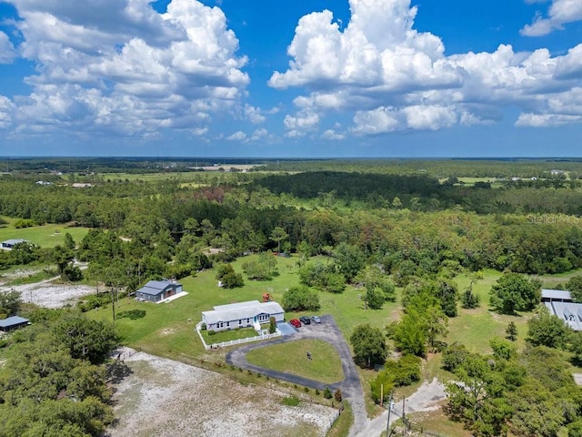 4361 Albritton Rd, Saint Cloud, FL 34772 - bird's eye view of a forest