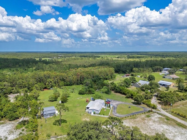 4361 Albritton Rd, Saint Cloud, FL 34772 - bird's eye view of a forest
