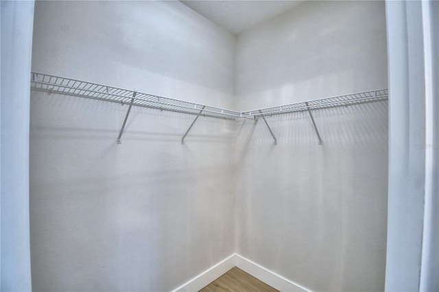2673 Calistoga Ave, Kissimmee, FL 34741 - walk in closet featuring wood finished floors