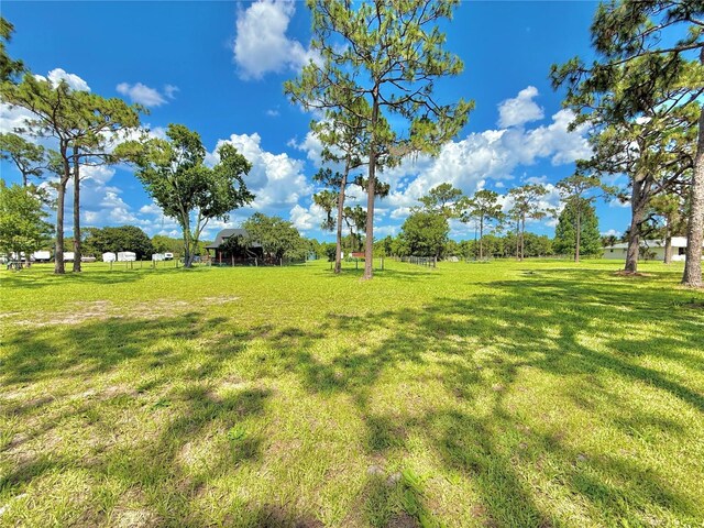 4075 Packard Ave, Saint Cloud, FL 34772 - photo 62