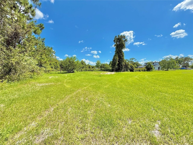 4075 Packard Ave, Saint Cloud, FL 34772 - photo 67