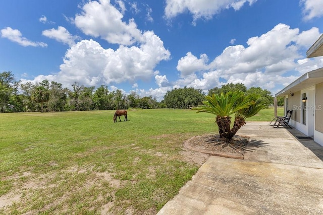 3181 Canter Ln, Kissimmee, FL 34746 - photo 27