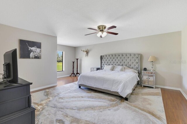 3181 Canter Ln, Kissimmee, FL 34746 - photo 29