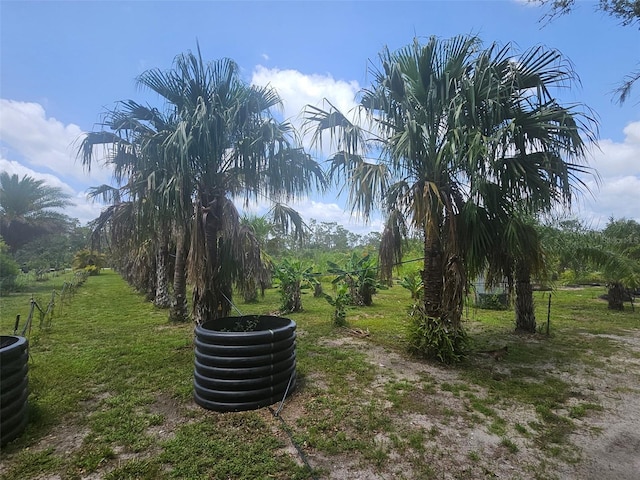 21910 Taylor Dr, Bradenton, FL 34211