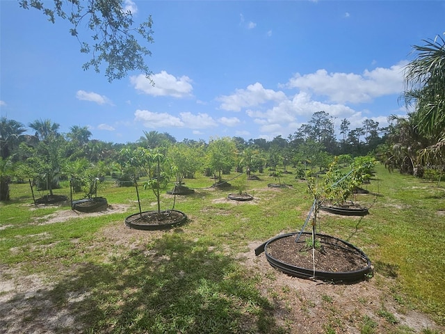 21910 Taylor Dr, Bradenton, FL 34211