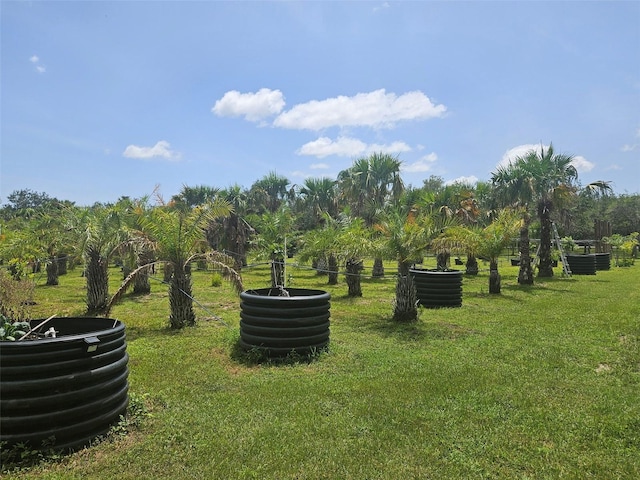 21910 Taylor Dr, Bradenton, FL 34211
