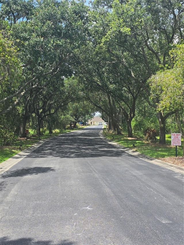 204 Canary Island Cir, Davenport, FL 33837 - view of asphalt road