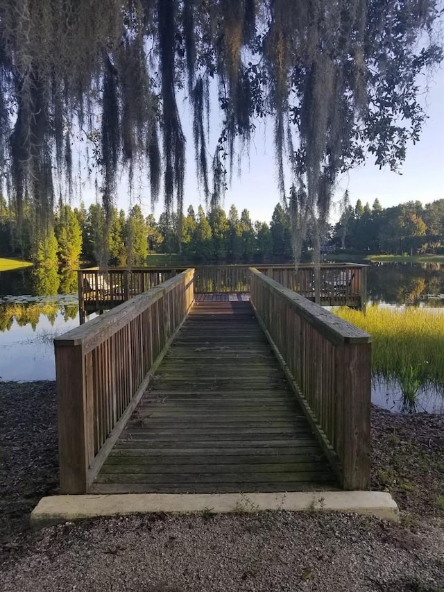 204 Canary Island Cir, Davenport, FL 33837 - view of dock area