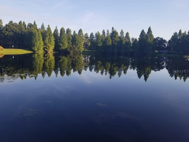 204 Canary Island Cir, Davenport, FL 33837 - water view