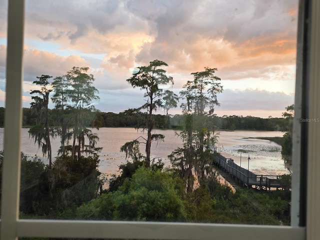 3428 Soho St Unit 208, Orlando, FL 32835 - water view