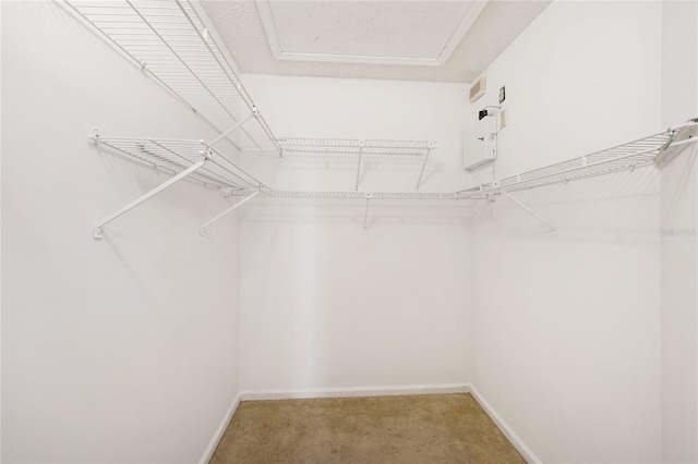 17340 Boca Club Blvd Unit 703, Boca Raton, FL 33487 - spacious closet with light carpet