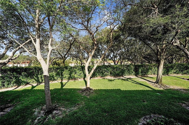 17340 Boca Club Blvd Unit 703, Boca Raton, FL 33487 - view of yard