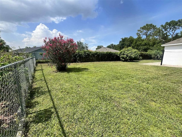 343 Marquee Dr, Kissimmee, FL 34758 - view of yard