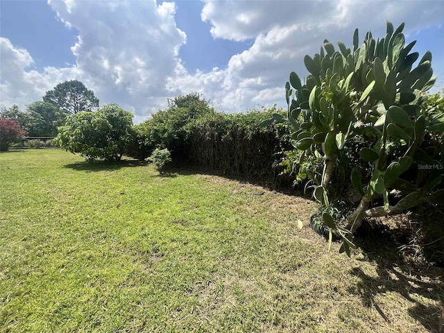 343 Marquee Dr, Kissimmee, FL 34758 - view of grassy yard