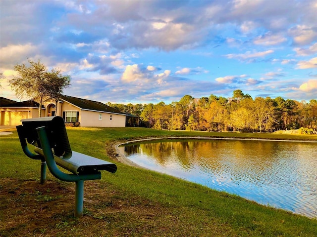 2281 Royal Ridge Dr, Davenport, FL 33896 - water view with a heavily wooded area
