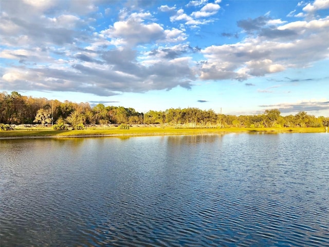 2281 Royal Ridge Dr, Davenport, FL 33896 - water view