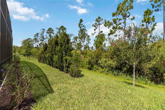 2772 Southland St, Saint Cloud, FL 34772 - view of yard